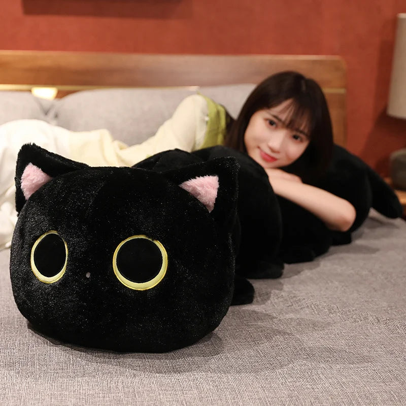 Peluches de gato oruga