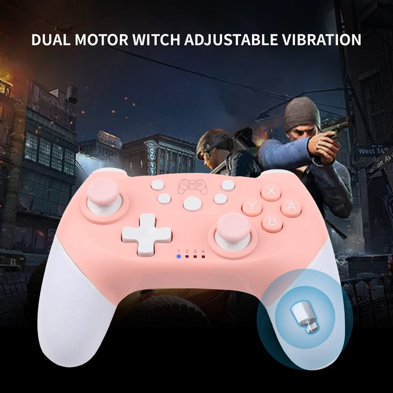 Nintendo Switch & PC Controller
