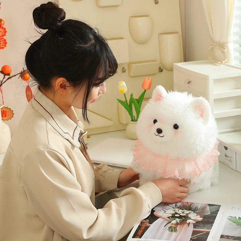 Jolie peluche Pomeranian