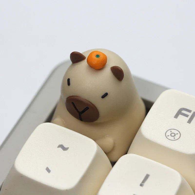 Touches du clavier Capybara