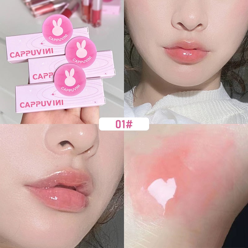 Brillo labial hidratante con color CAPPUVIMI