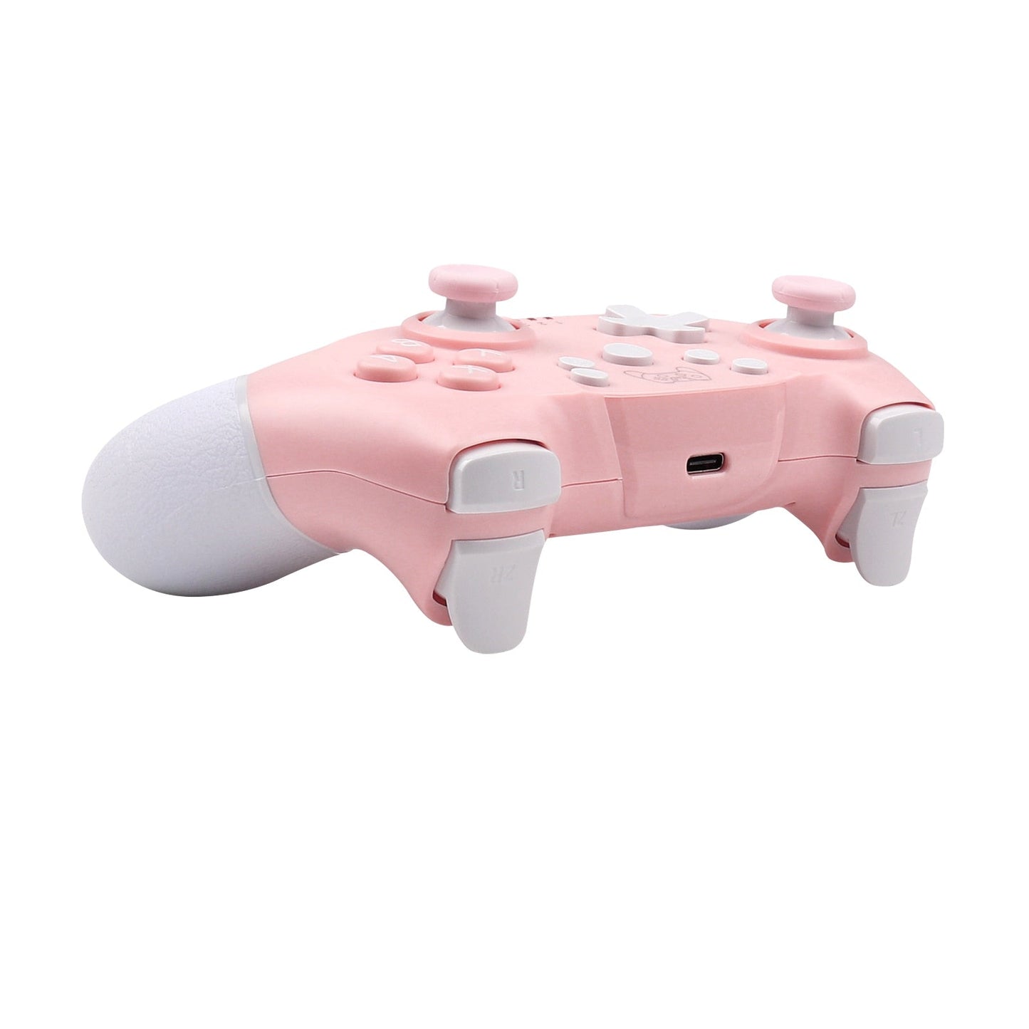 Nintendo Switch & PC Controller