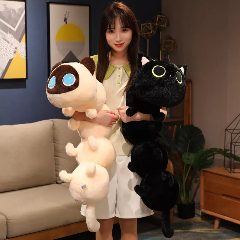 Peluches de gato oruga