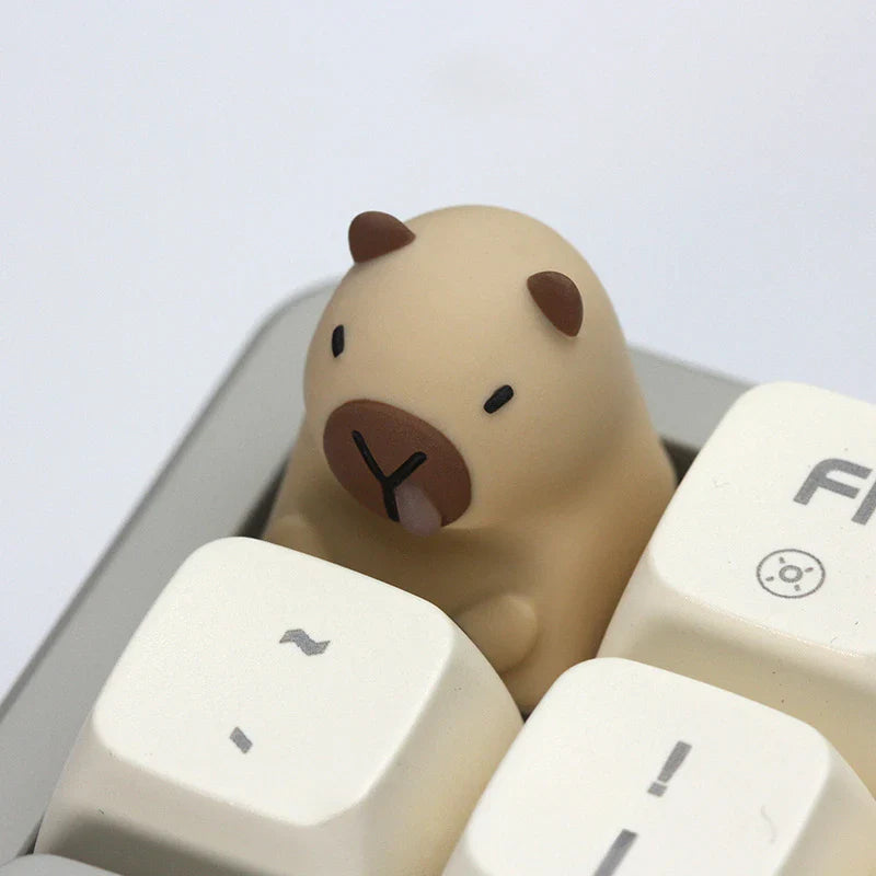 Touches du clavier Capybara