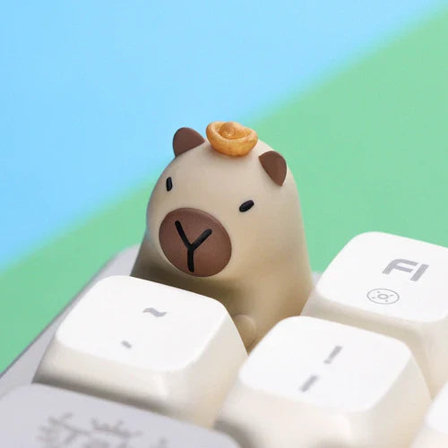 Touches du clavier Capybara