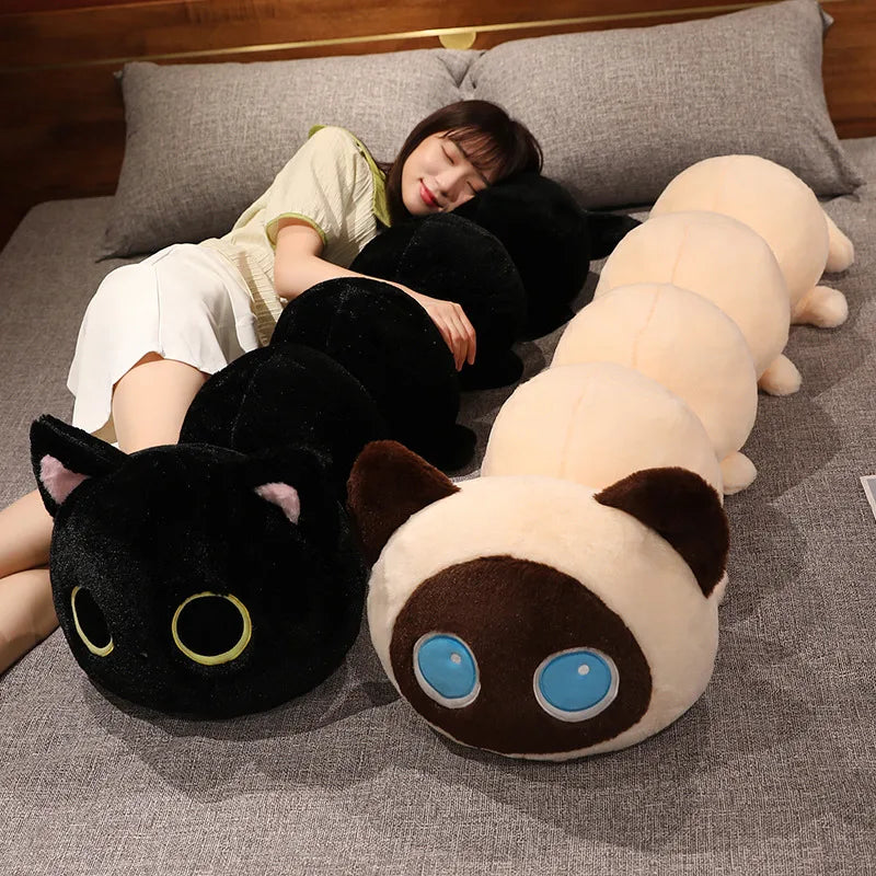 Peluches de gato oruga