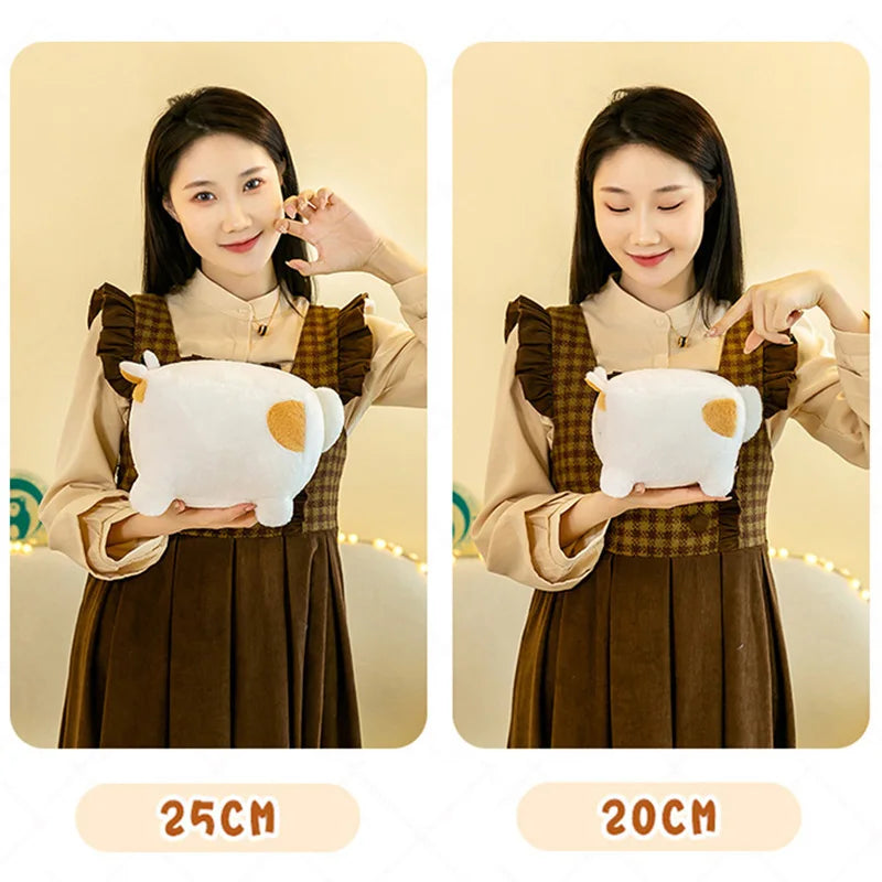 Peluches carrées Kawaii Neko