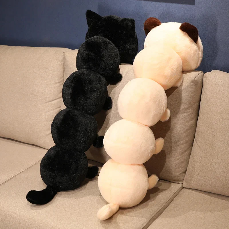 Peluches de gato oruga