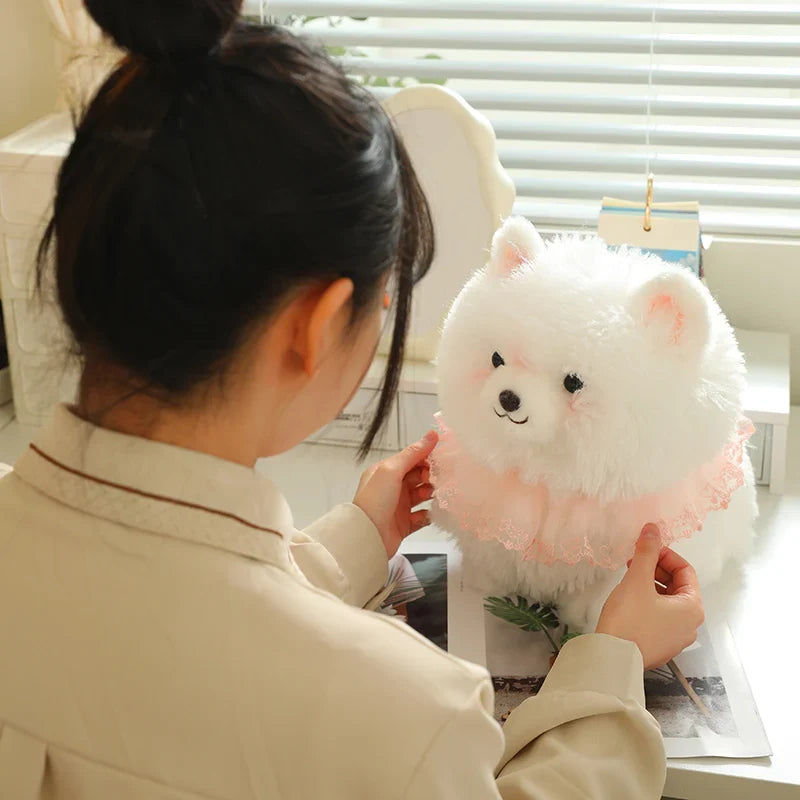 Jolie peluche Pomeranian
