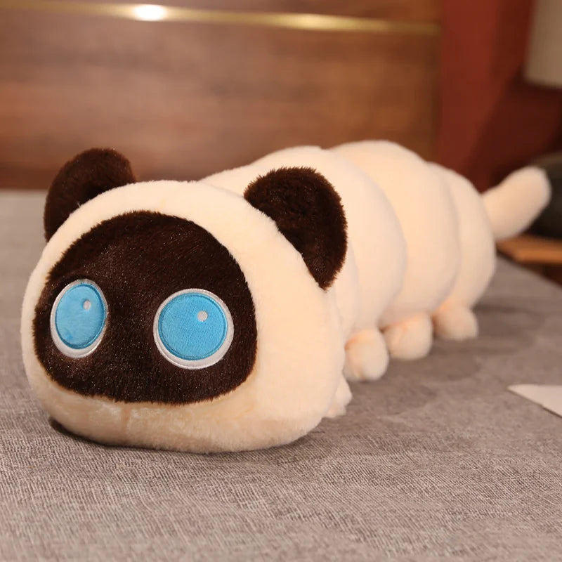 Peluches de gato oruga