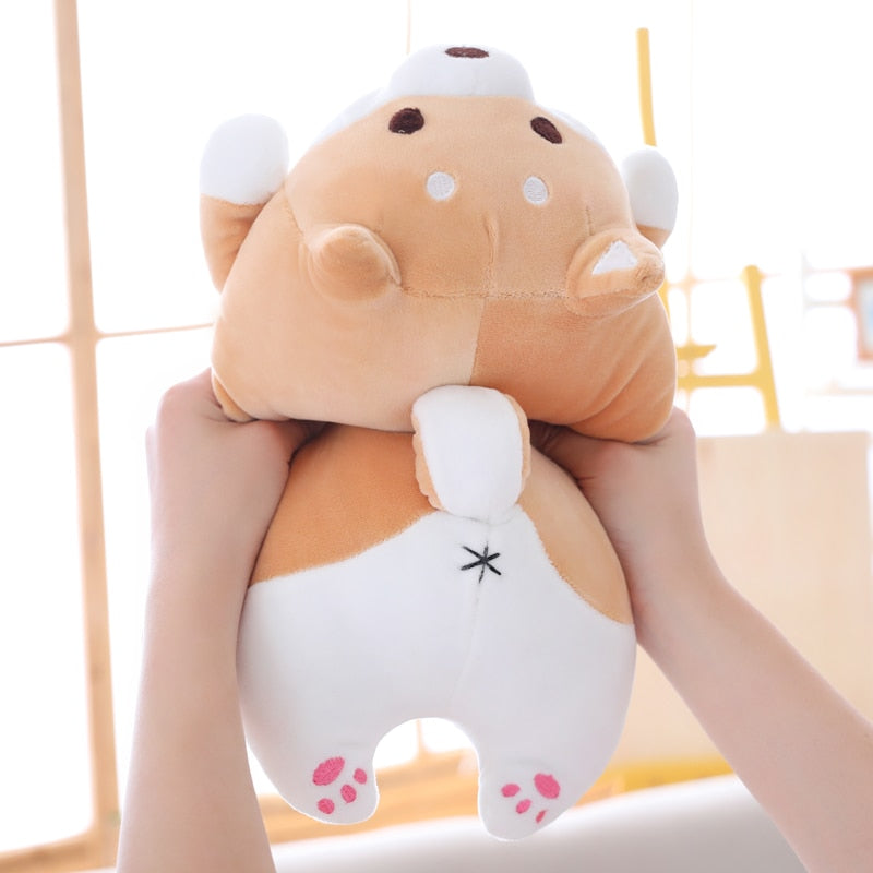 Peluches Shiba Inu