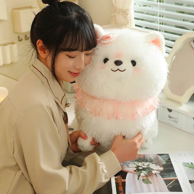 Jolie peluche Pomeranian