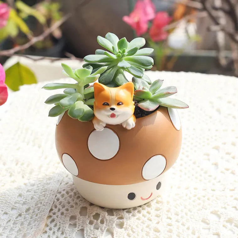 Pots de plantes succulentes en forme de champignons kawaii