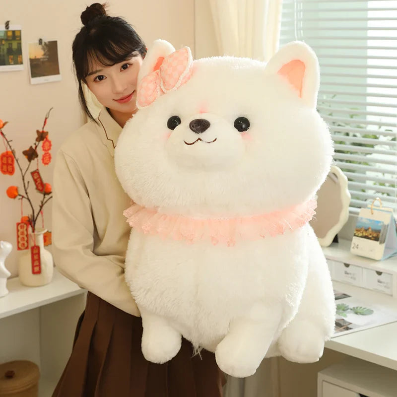 Jolie peluche Pomeranian