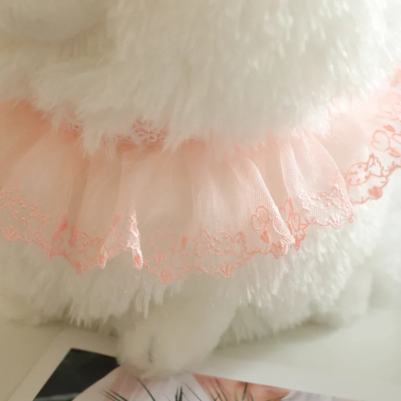 Jolie peluche Pomeranian