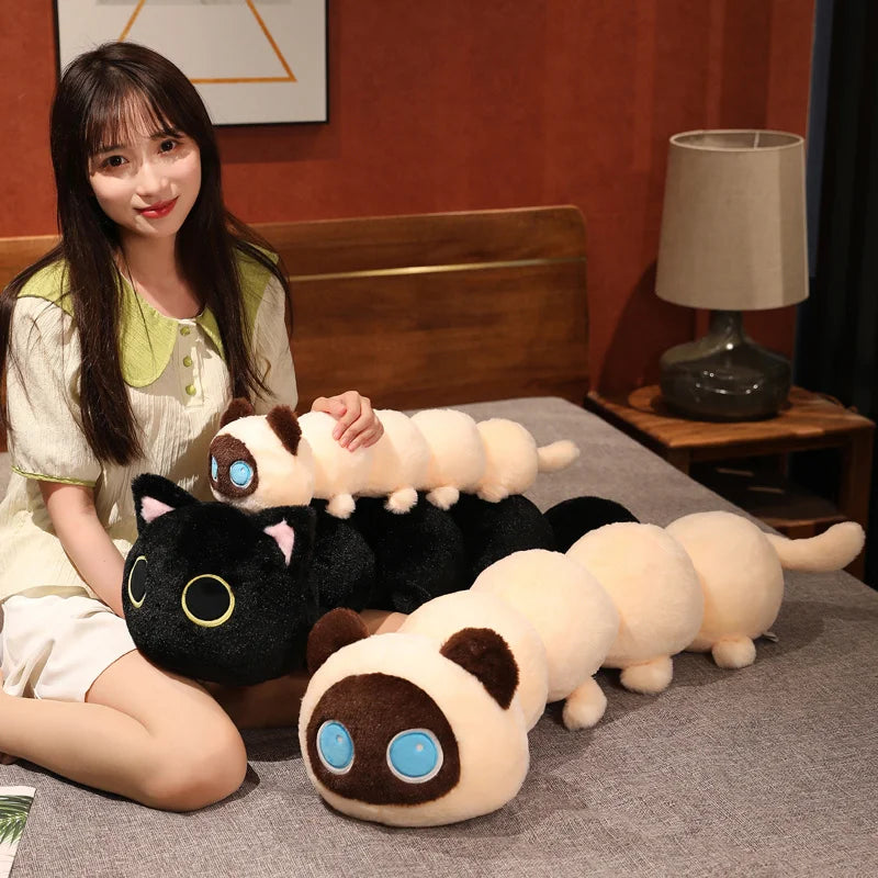 Peluches de gato oruga
