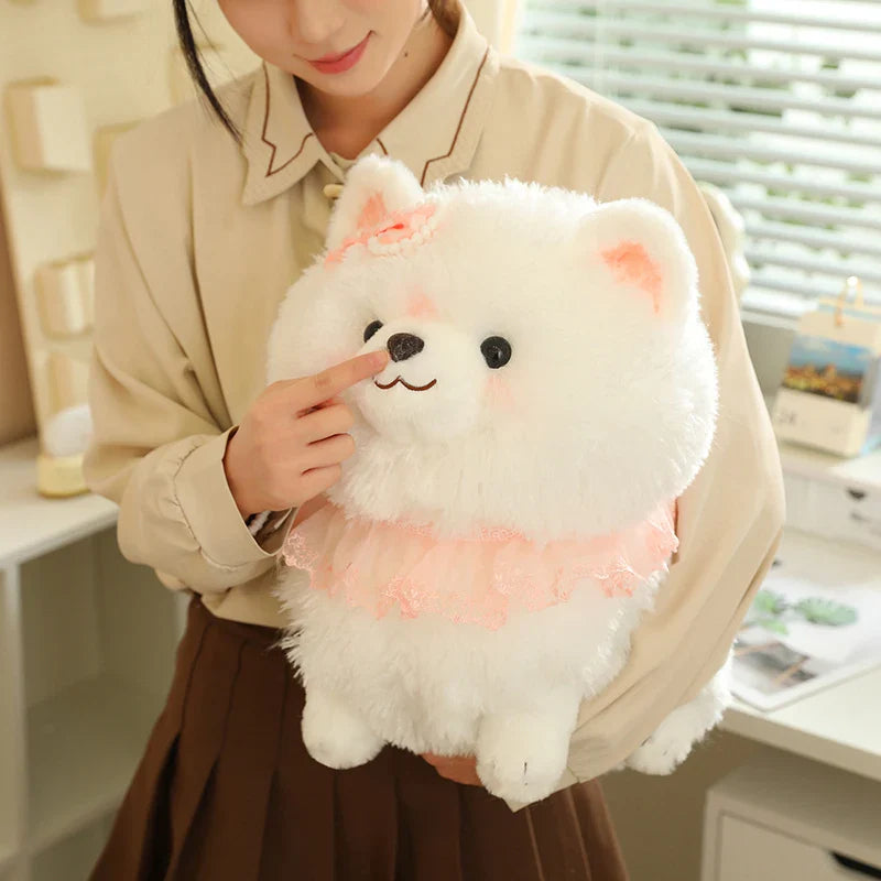 Jolie peluche Pomeranian