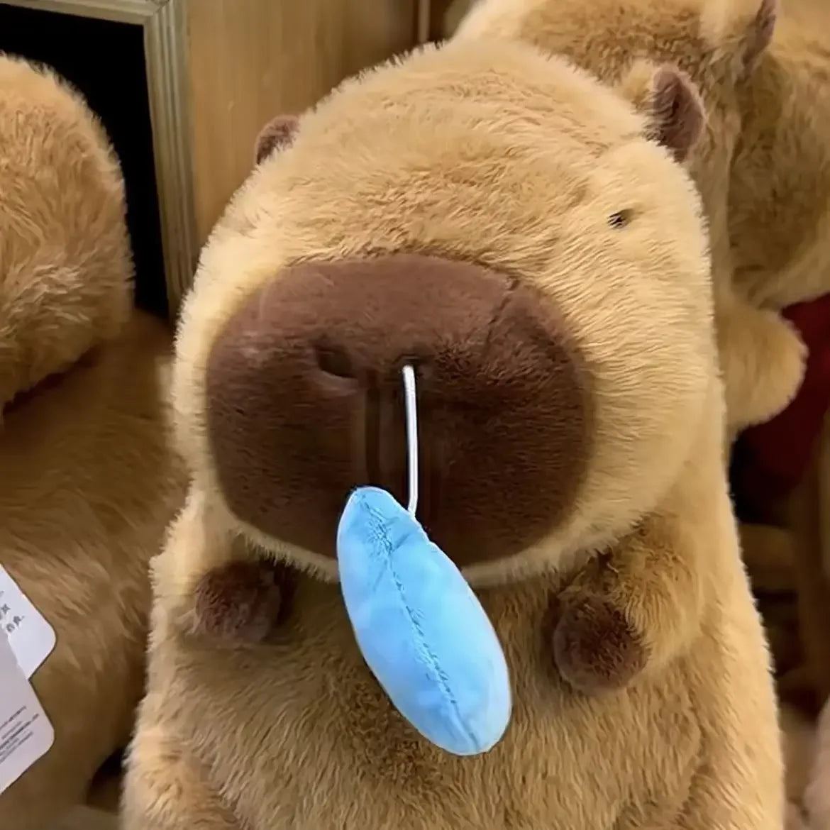 Peluche Capybara triste