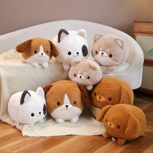 Peluches rondes pour animaux de compagnie