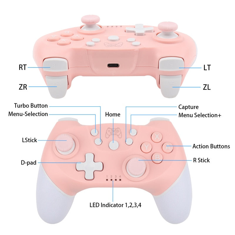 Nintendo Switch & PC Controller