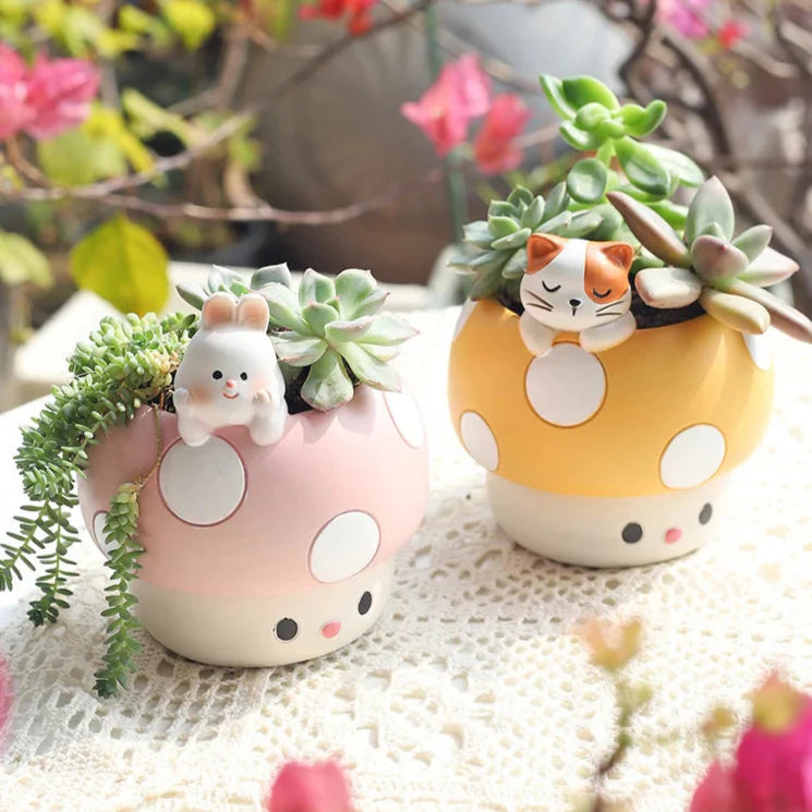 Pots de plantes succulentes en forme de champignons kawaii