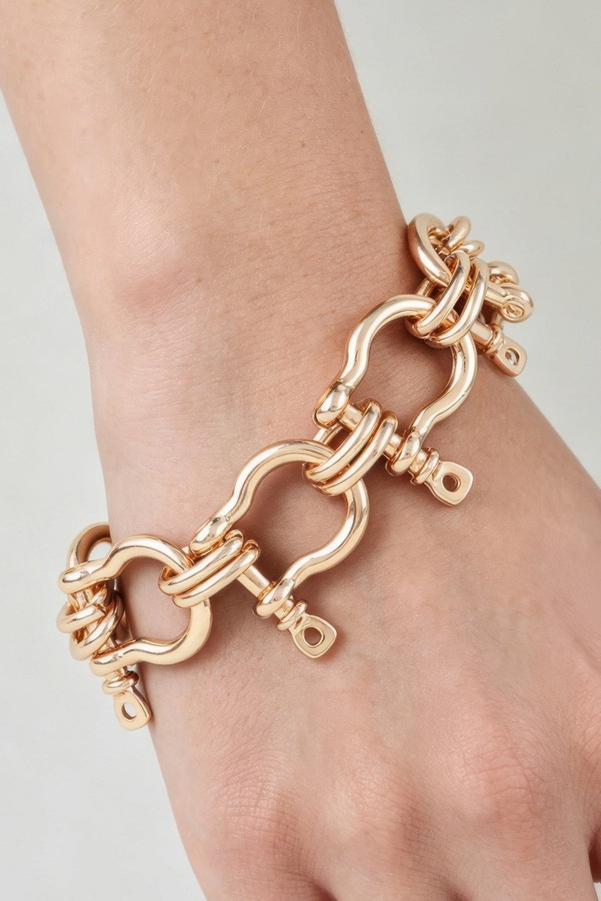 Hudson Horseshoe Link Bracelet